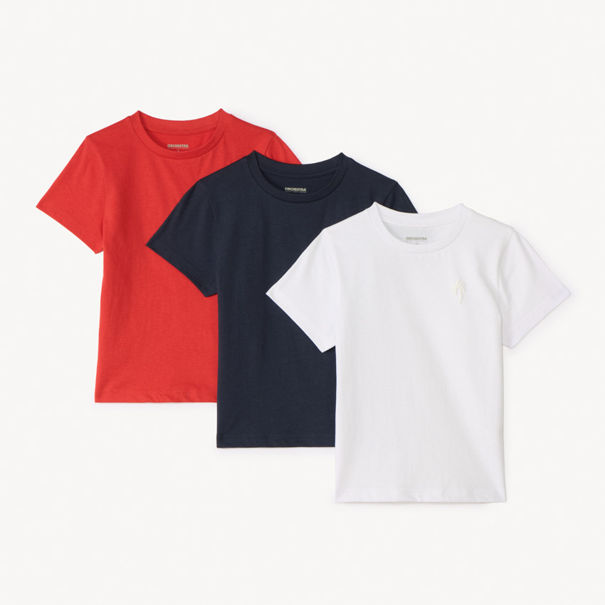Lot de 3 t-shirts manches courtes print palmier pour garçon 