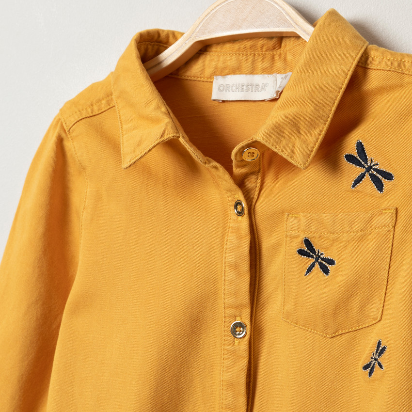 Robe manches longues en toile jaune à libellules brodées 