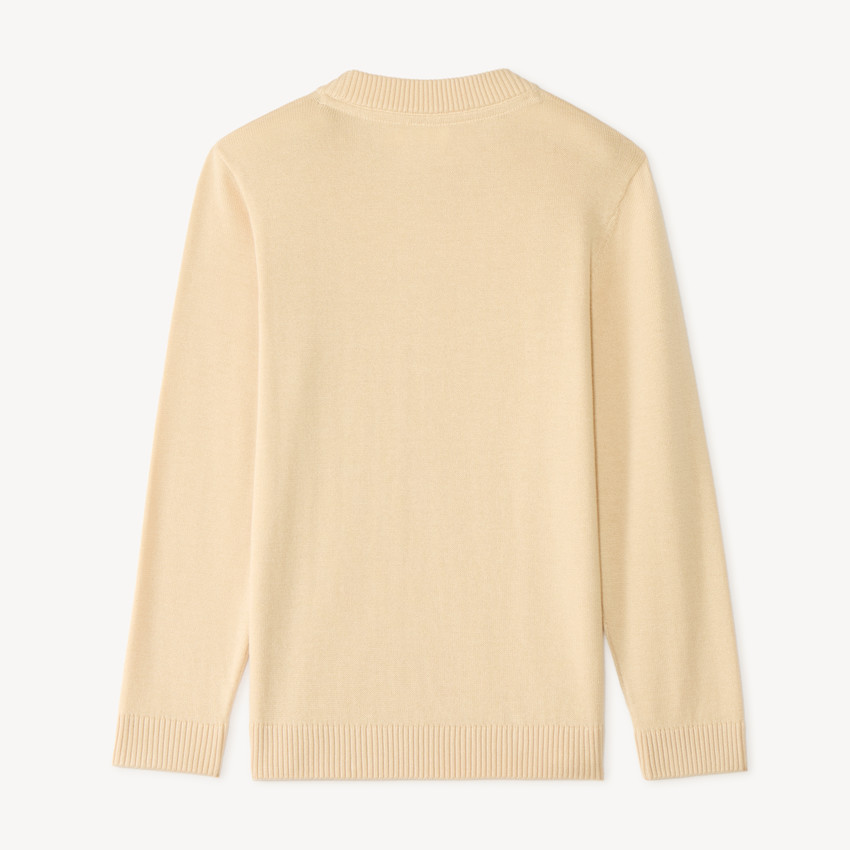 Pull garçon manches longues en tricot imprimé fantaisie 