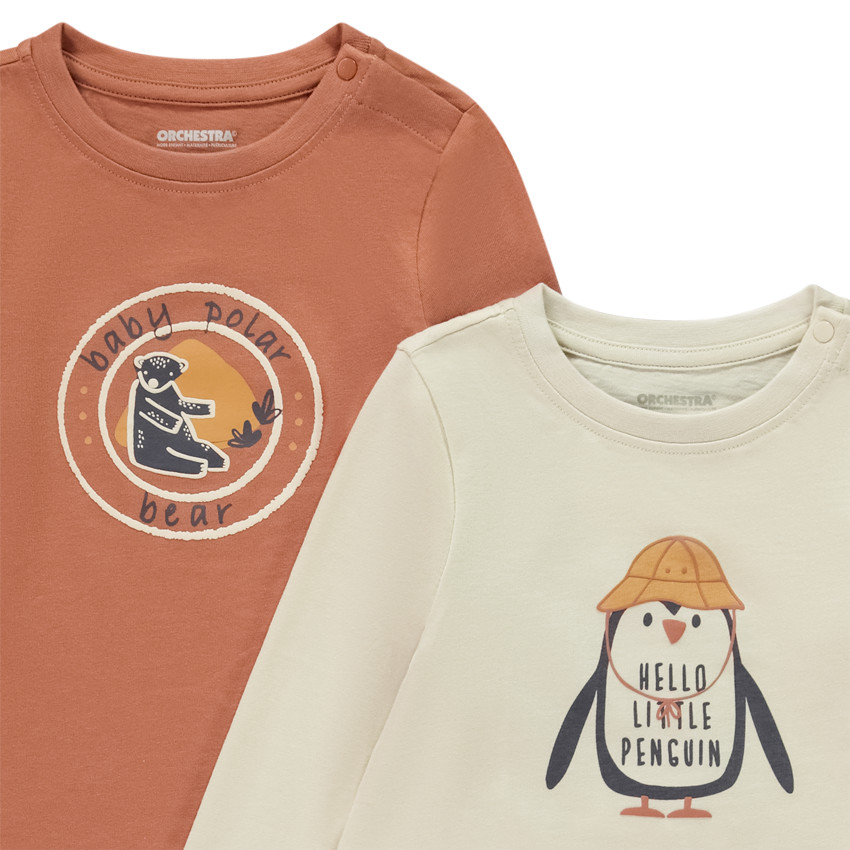 Lot de 4 t-shirts manches longues printés pour bébé garçon 