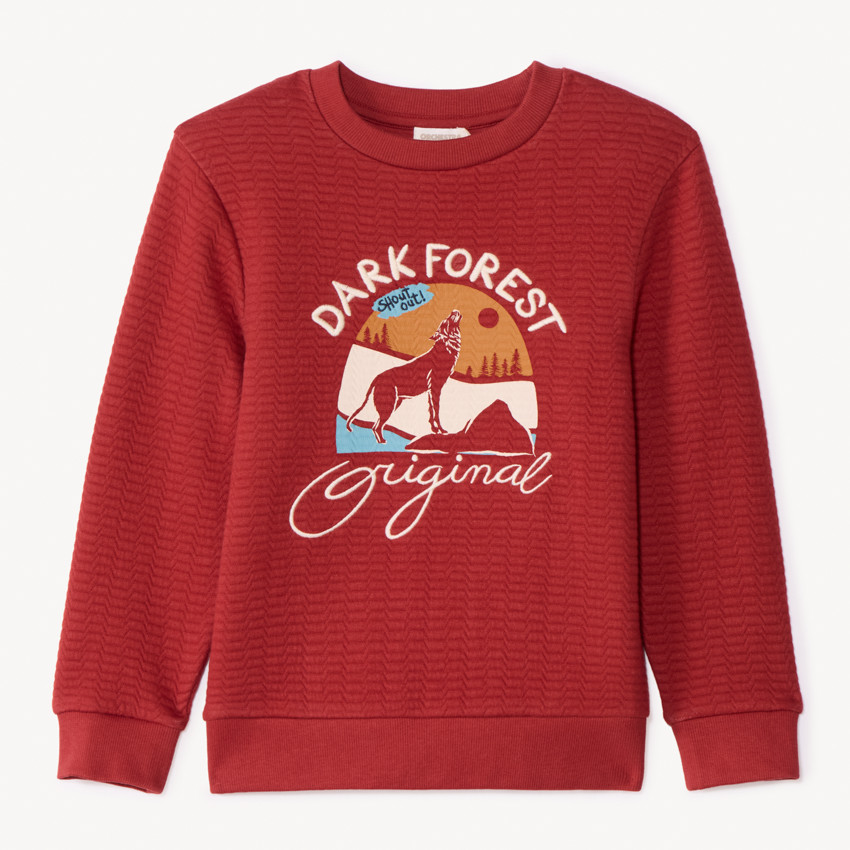 Sweat en molleton texturé fantaisie pour garçon