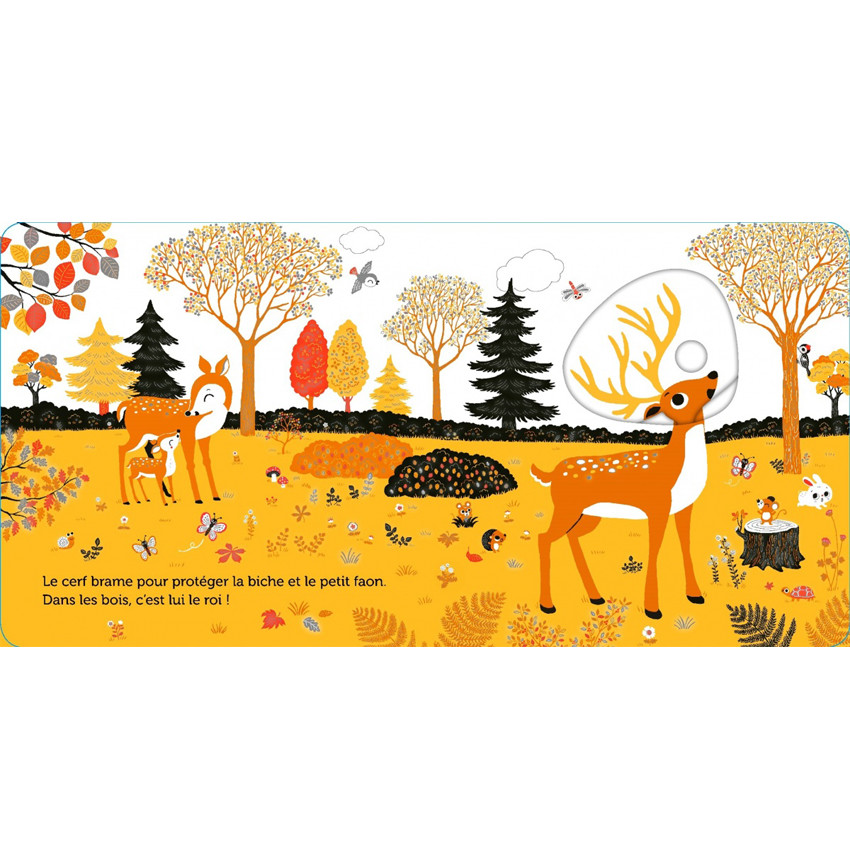 Livre Promenade dans les bois  