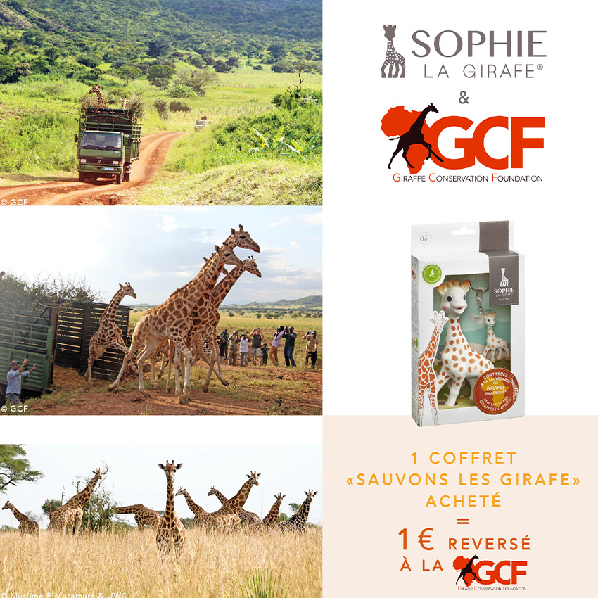 Coffret GCF Sauvons les girafes avec Sophie la Girafe + porte-clé 