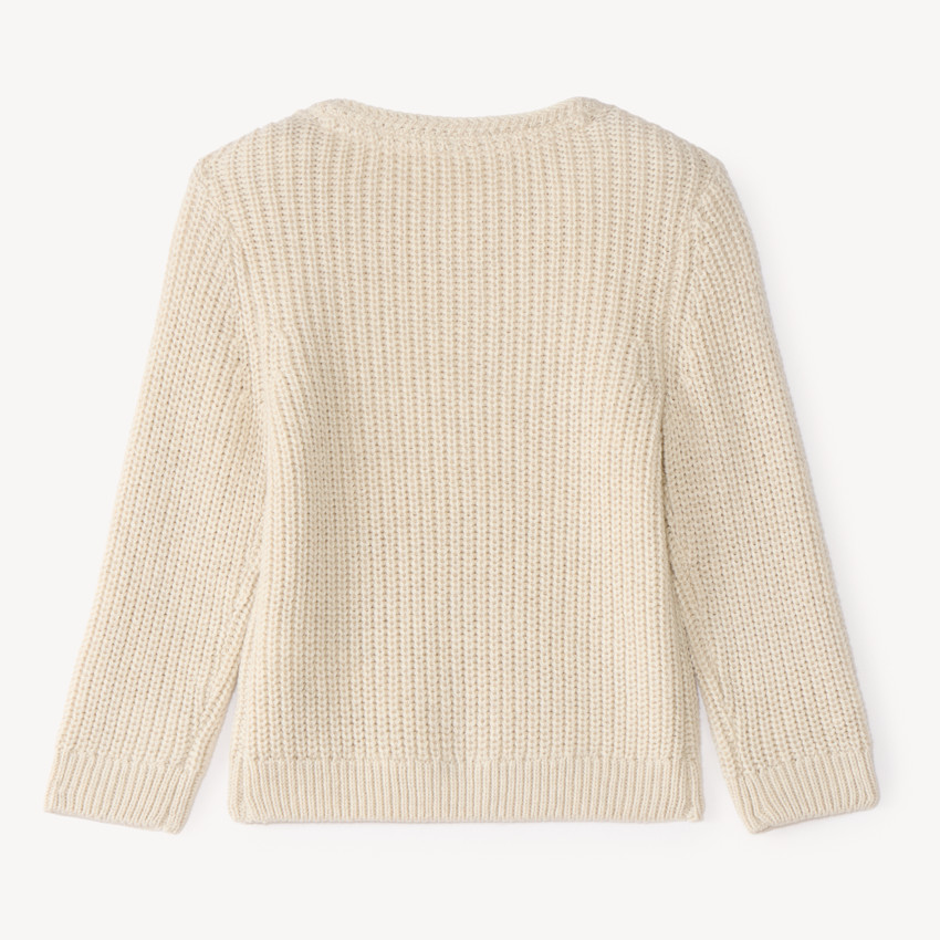 Pull en tricot bébé garçon avec patch chien 