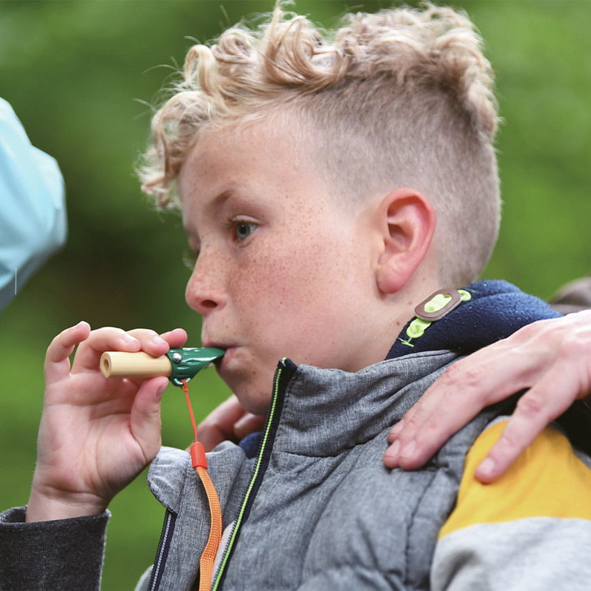 Kit de découverte de la nature en bois 