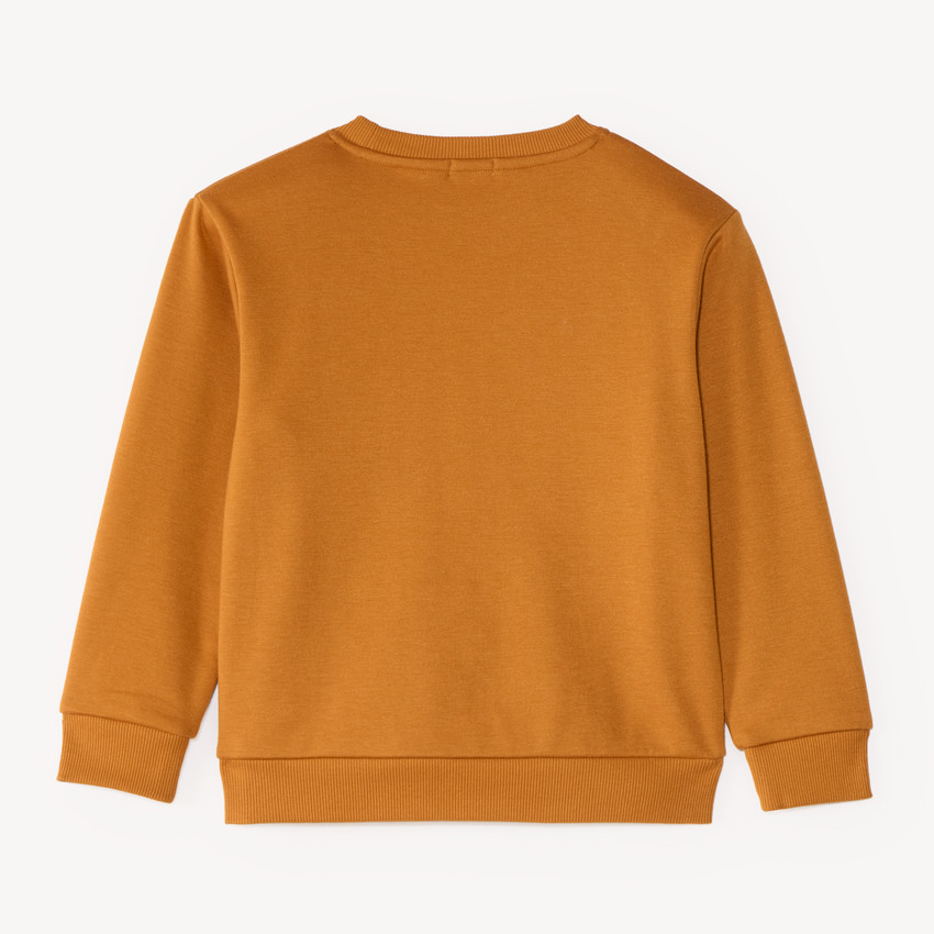 Sweat en molleton doublé polaire garçon 