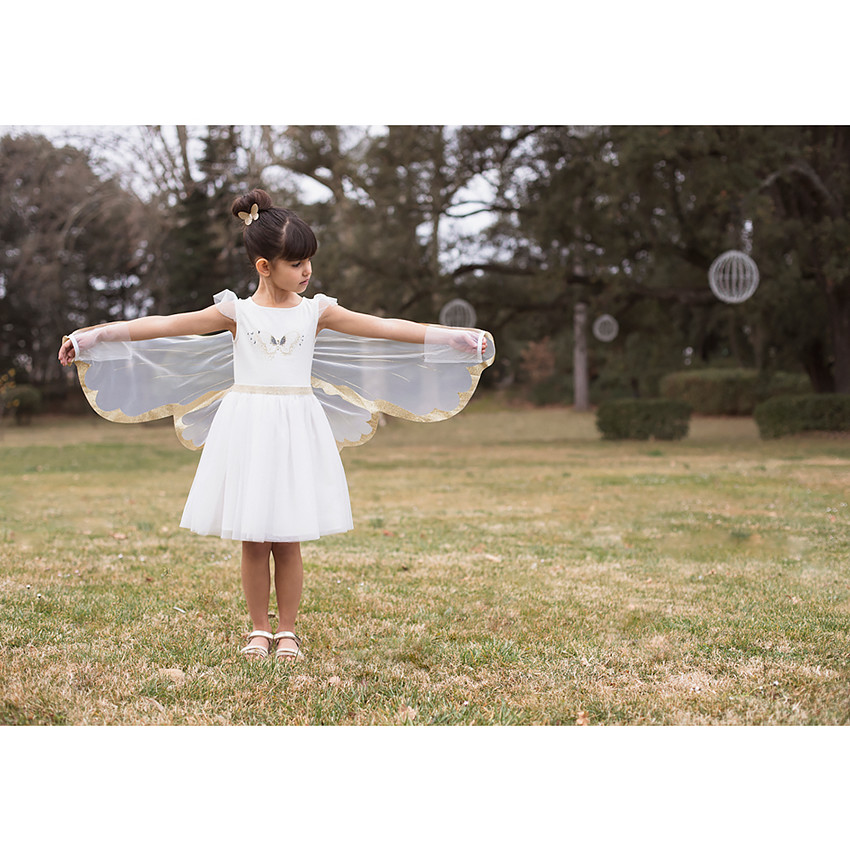 Robe de cérémonie en tulle + ailes de papillon pour fille