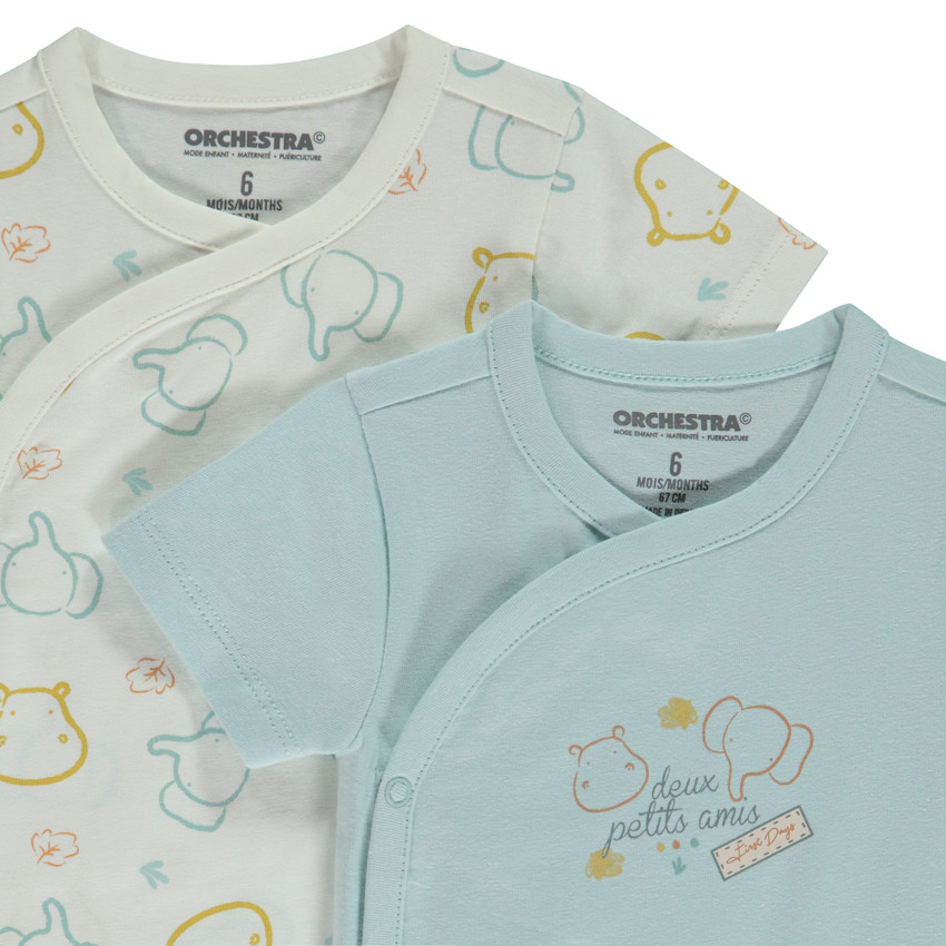 Lot de 2 bodies manches courtes animaux fantaisie pour bébé garçon 