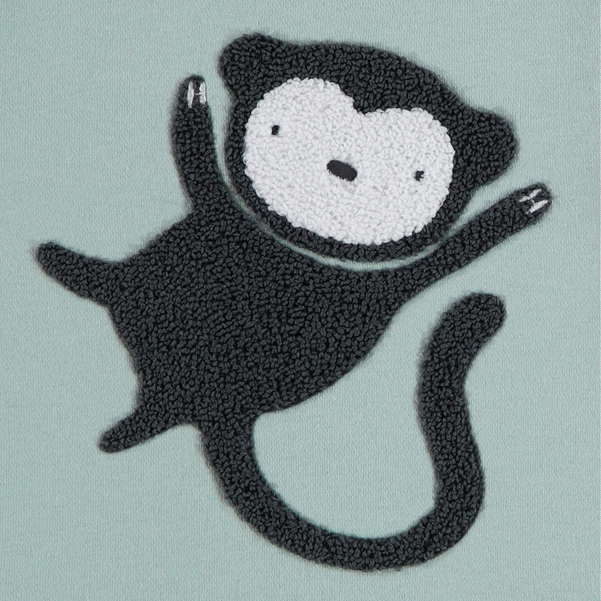 Sweat manches longues avec motif brodé effet bouclette bébé garçon  