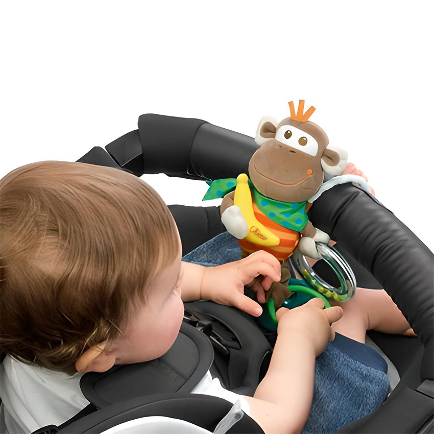 Singe multi-activités  