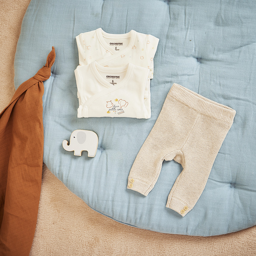 Lot de 2 bodies manches longues imprime animaux pour bebe