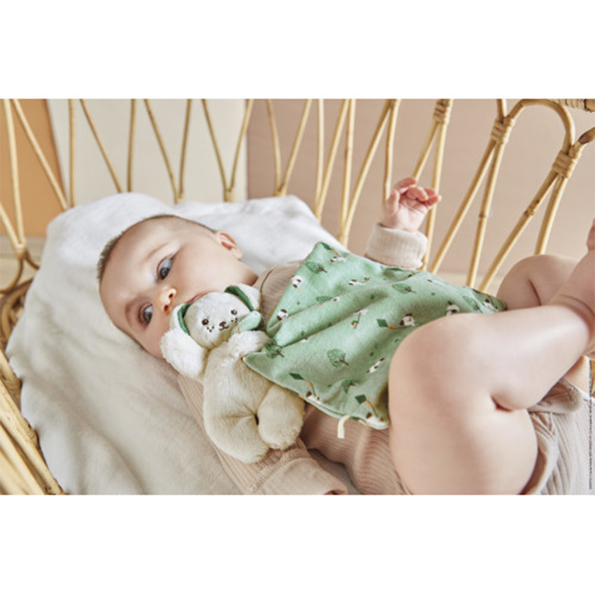 Doudou chien avec carré Vert 