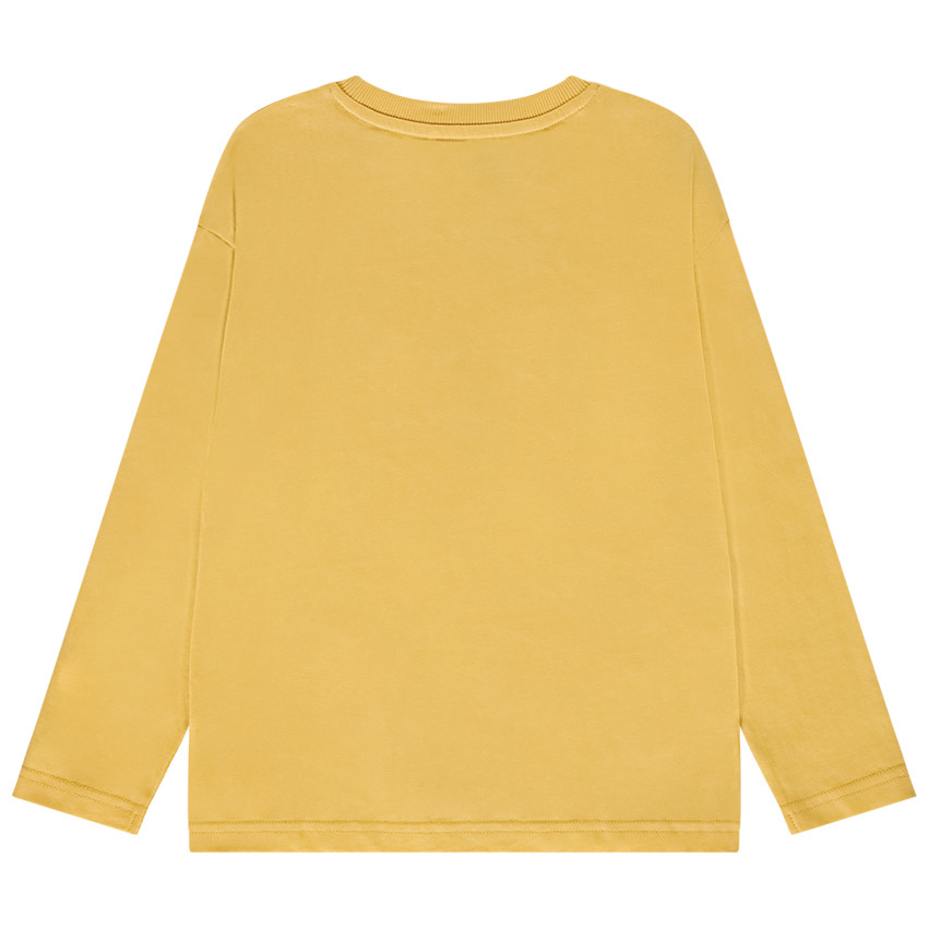 T-shirt manches longues print dinosaure pour garçon 