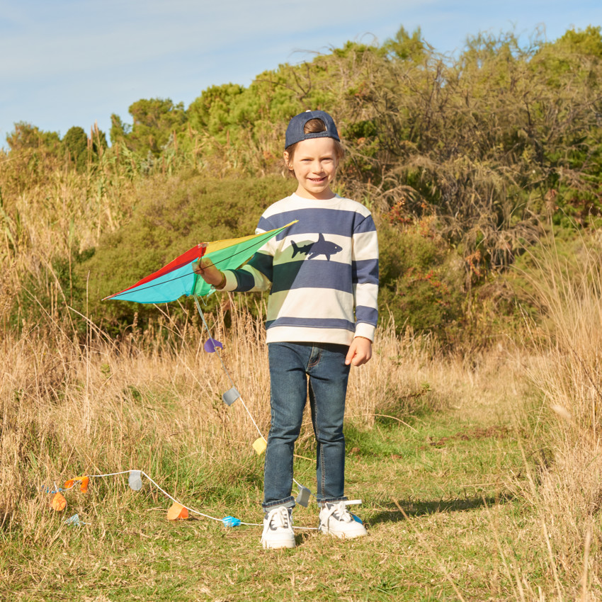 Sweat en molleton avec requin brodé pour garçon