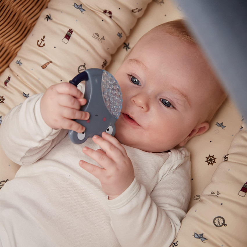 Lot de 2 anneau de dentition réfrigérés grenouilles 