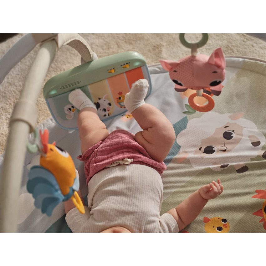 Tapis de jeu et d'éveil Farmers Funday Gymini 