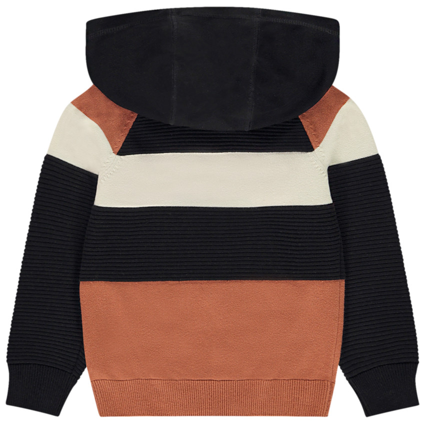Pull à capuche effet color block pour garçon 