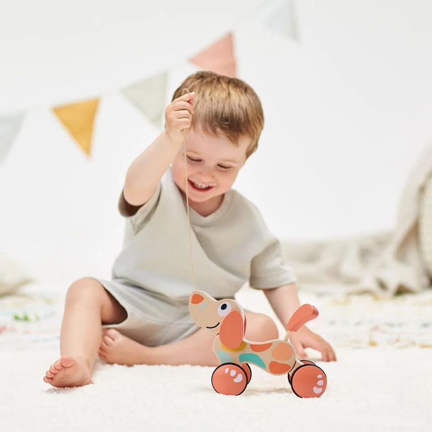 Chien à tirer Puppy bois et corail  