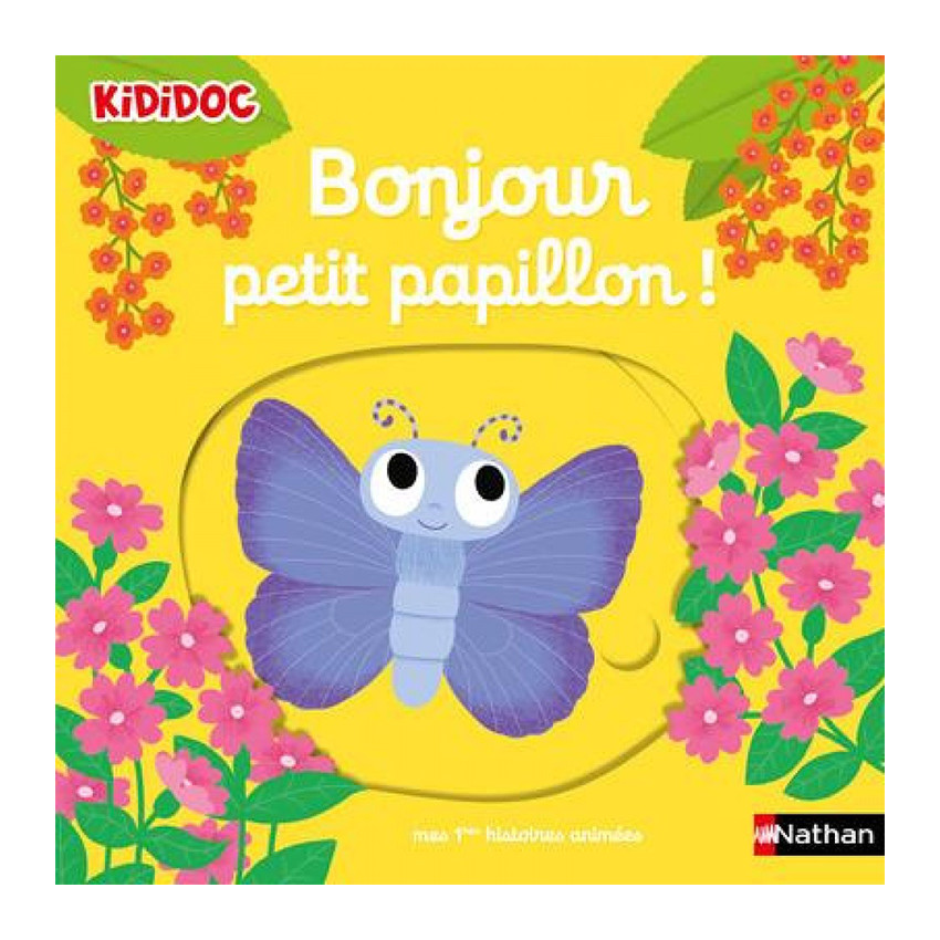 Livre Bonjour petit papillon