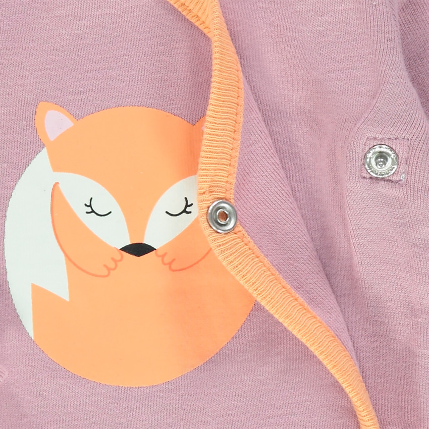 Lot de 5 bodies manches longues avec imprimés thème renard 