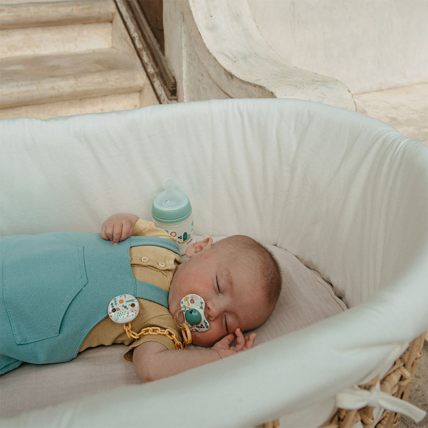 Lot de 2 sucettes silicone SX Pro 18M+ Walk in the park vert 