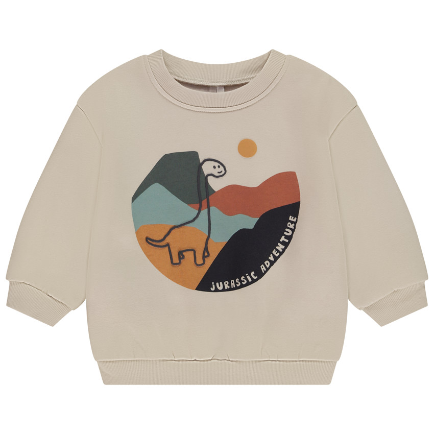 Short De Sport Garçon H&M – Coton Noir, Taille 5-6 Ans, Motif Dinosaure