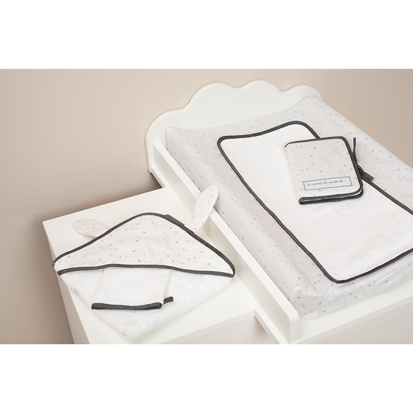 Protège carnet de santé Le rêve de léo  