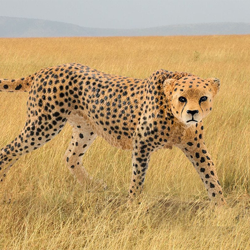 Figurine guépard femelle 