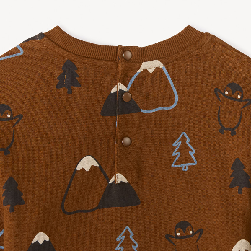 Lot de 2 ensembles de joggings molletonnés pour bébé garçon 