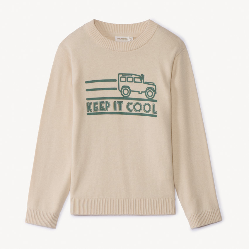Pull en tricot printé pour garçon 