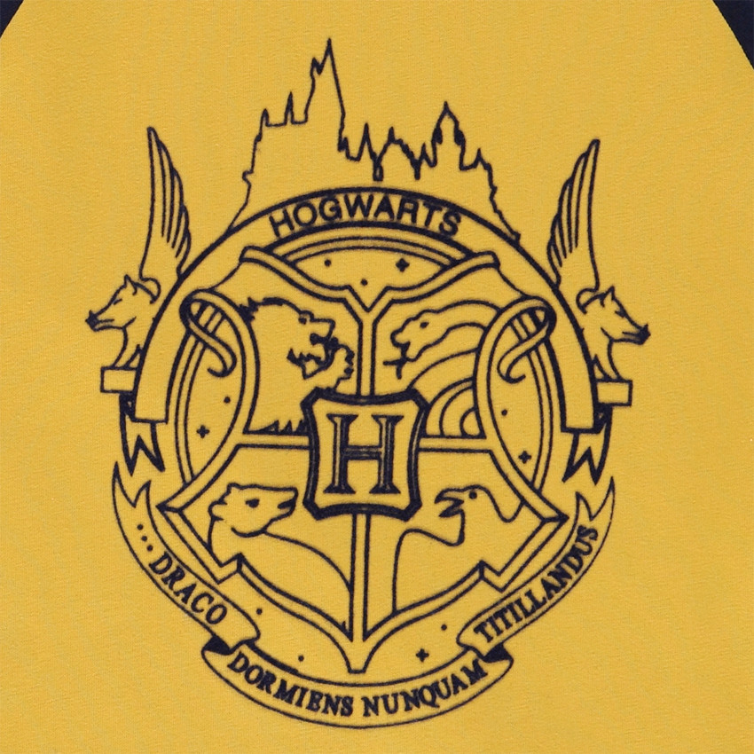 T-shirt manches courtes raglans en jersey print Harry Potter pour garçon Main T-shirt manches courtes raglans en jersey print Harry Potter pour garçon
