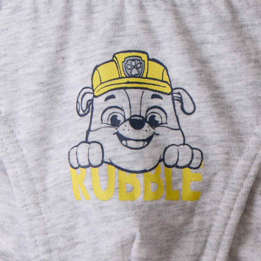 Lot de 3 slips printés Pat'Patrouille pour garçon 