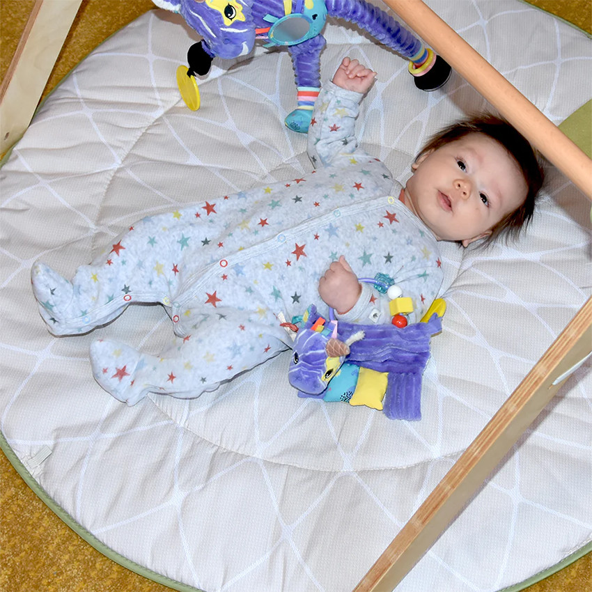 Hochet d'activités Kiprokos le zèbre 