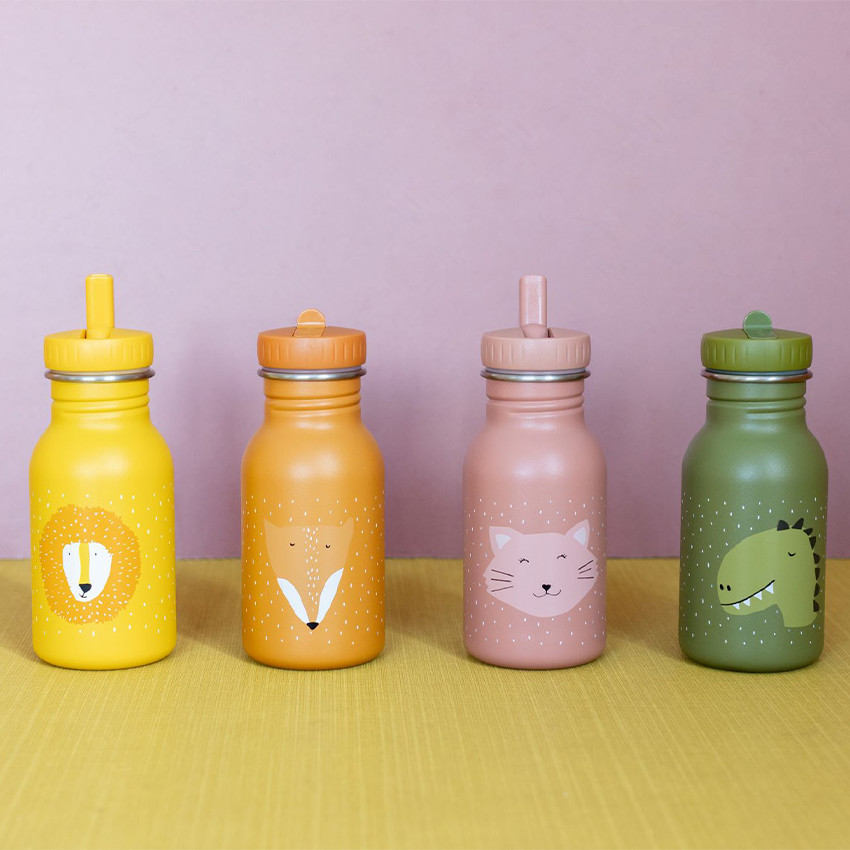 Gourde Mr. Lion 350 ml 