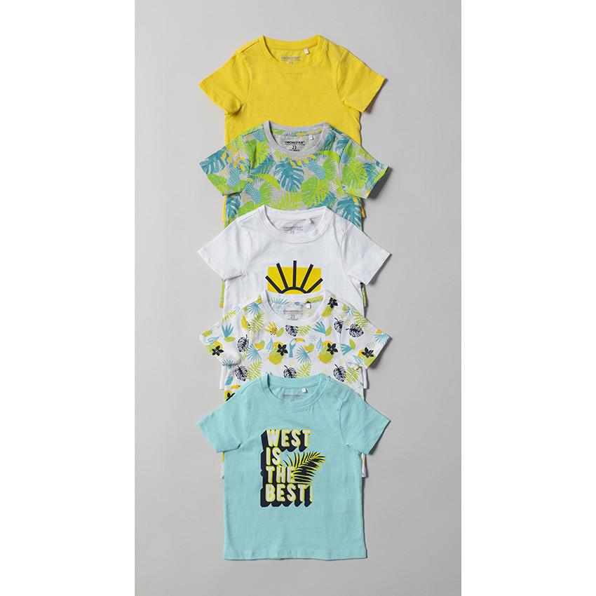 Lot de 5 t-shirts manches courtes imprimés / unis 