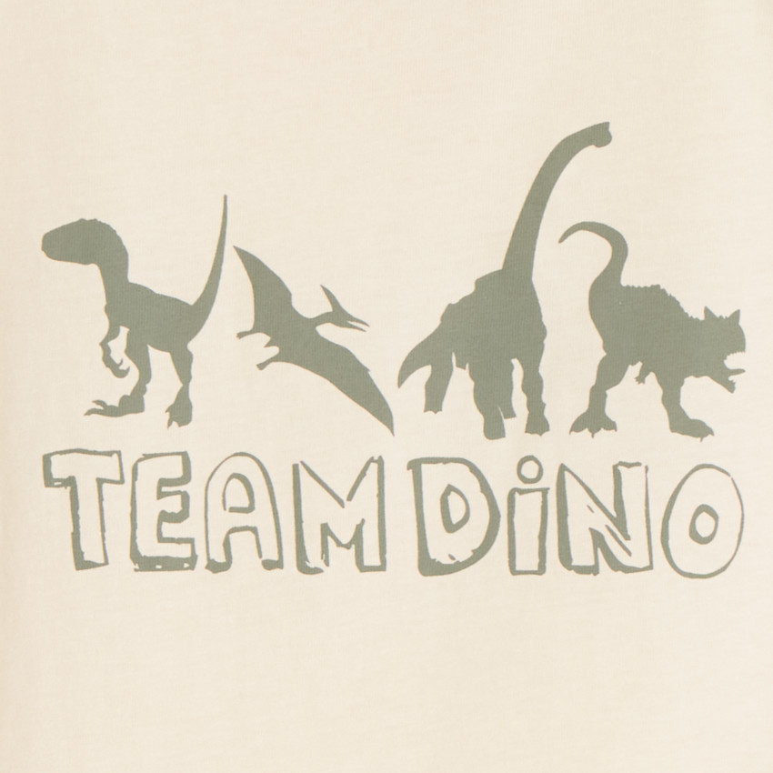 T-shirt manches courtes print fantaisie pour garçon 