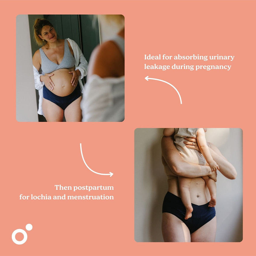 Culotte Flowly T3 Post-Partum et menstruelle Flowly 3XL/4XL/5XL 