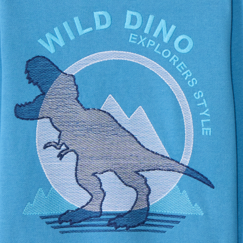 Sweat molleton brodé T-Rex pour garçon 