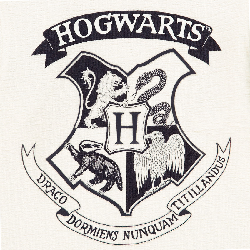 T-shirt manches longues print Harry Potter Hogwarts pour enfant garçon 