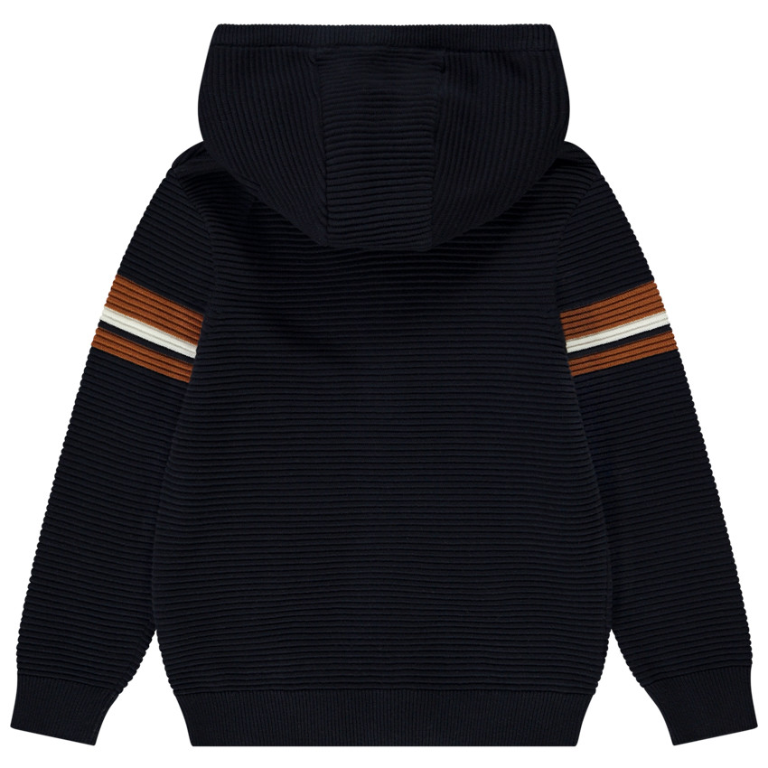 Pull Gilet TU Garçon Bleu 100% Coton - 3-4 Ans - Sans Manches, Imprimé Dinosaures