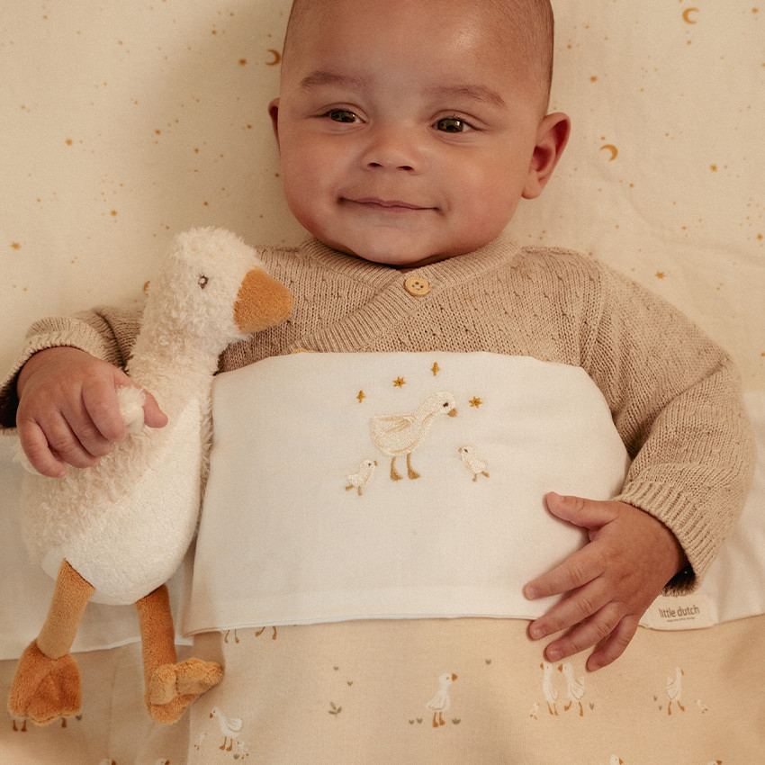 Peluche oie Newborn 17 cm 