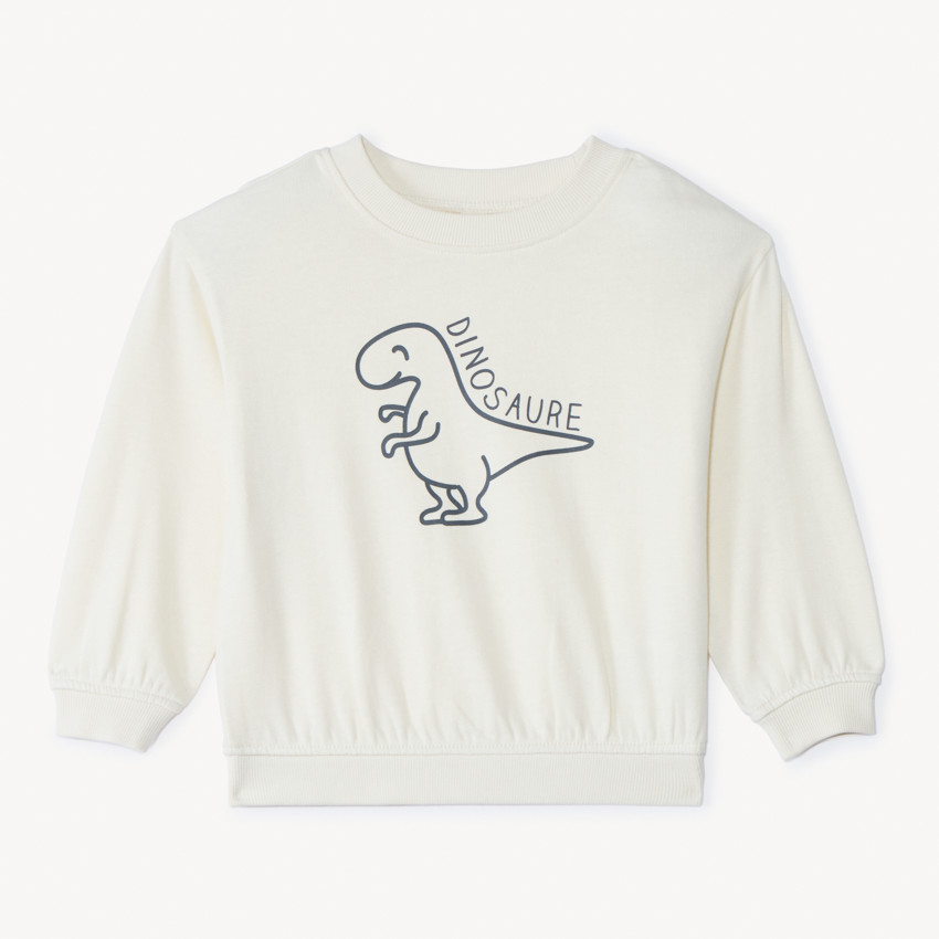 Sweat molleton oversize print dino pour bébé garçon 