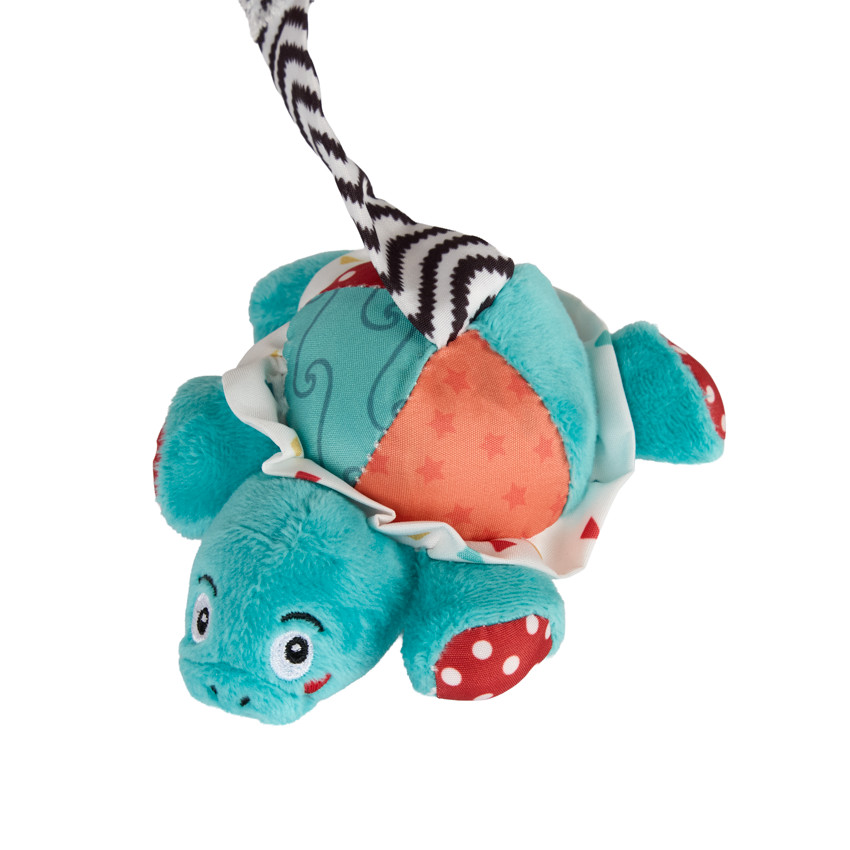 Spirale d'activités Sacha la tortue 