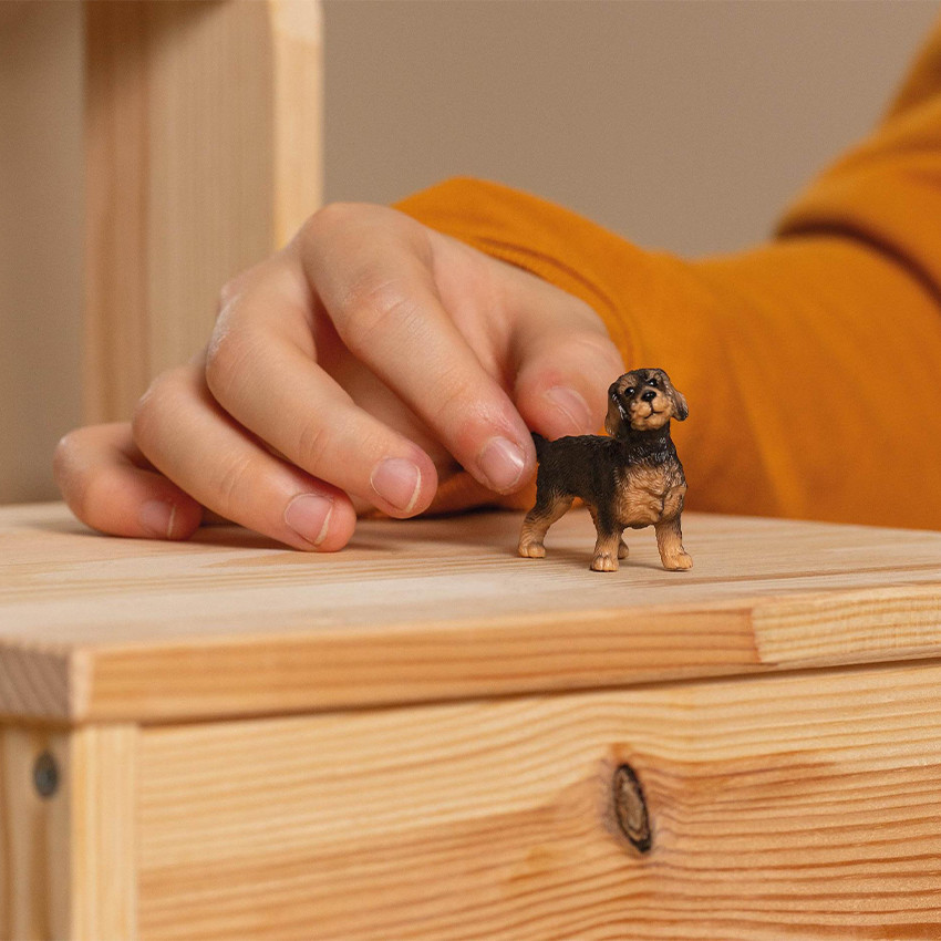 Figurine teckel à poil dur 