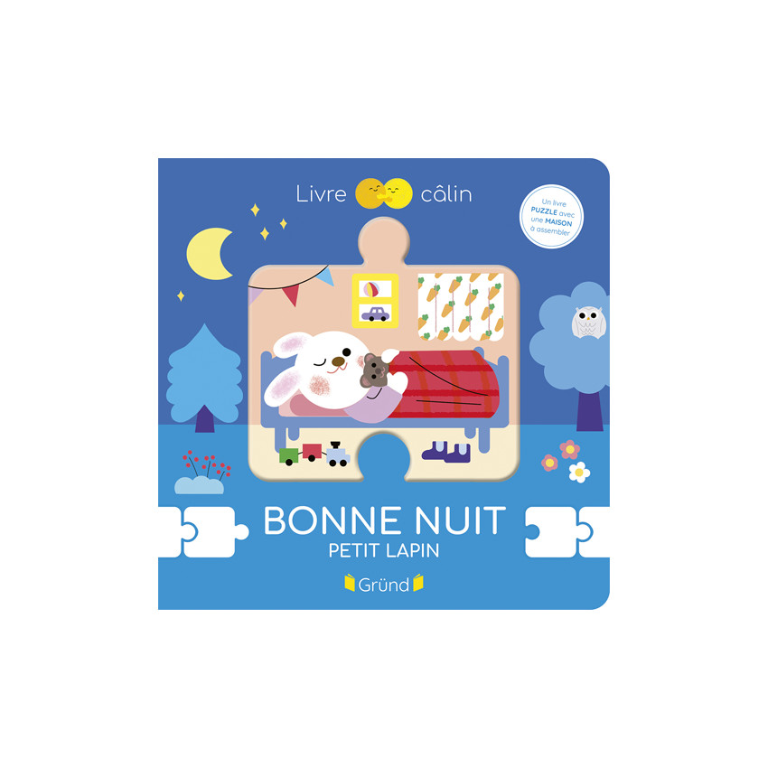 Livre Bonne nuit petit lapin 