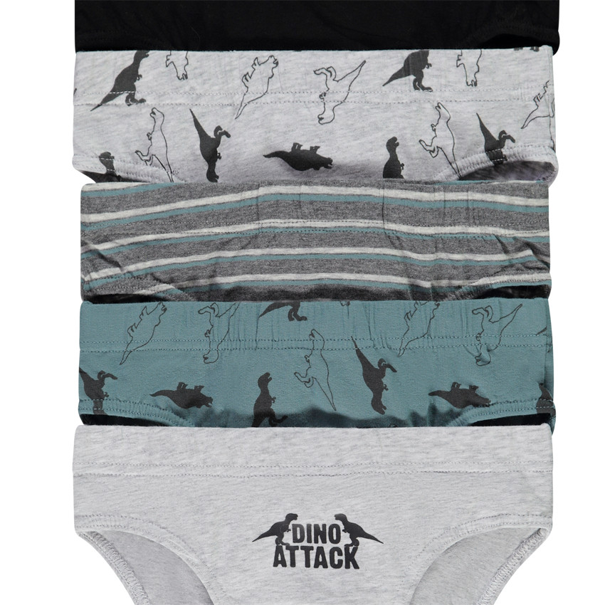 Lot de 5 slips en jersey print dinosaures pour garçon 