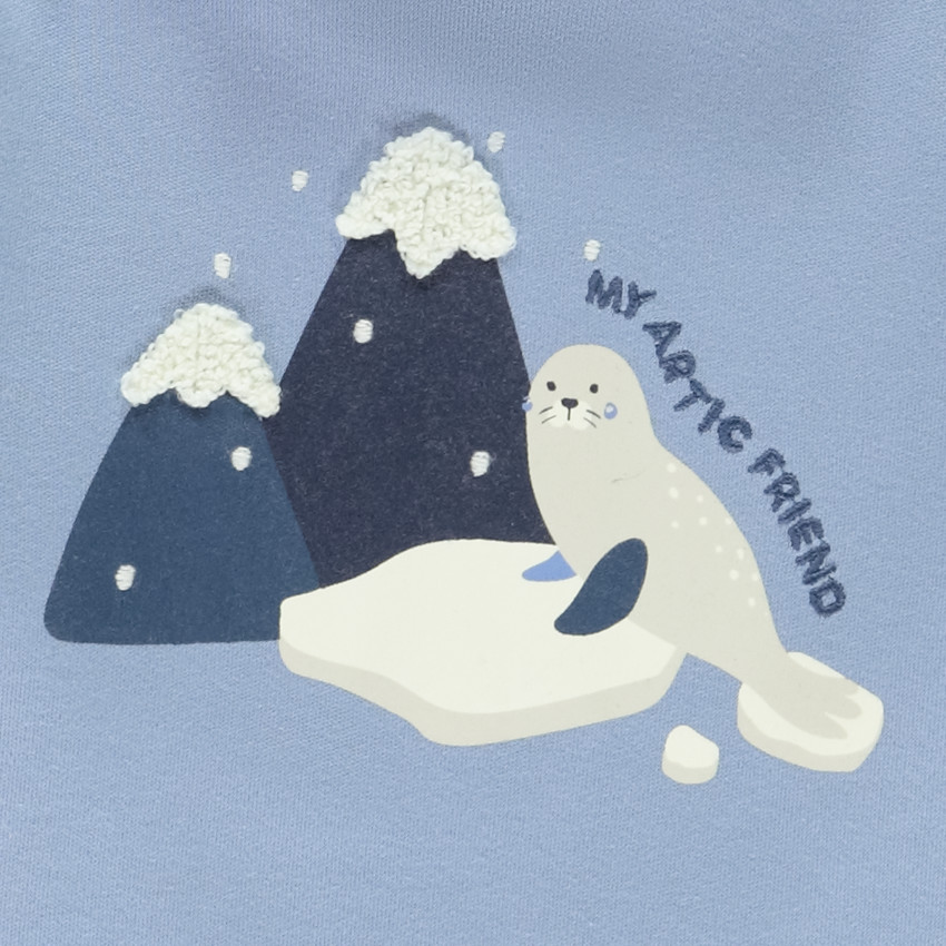 Sous-pull à col roulé motif Arctique pour bébé garçon 