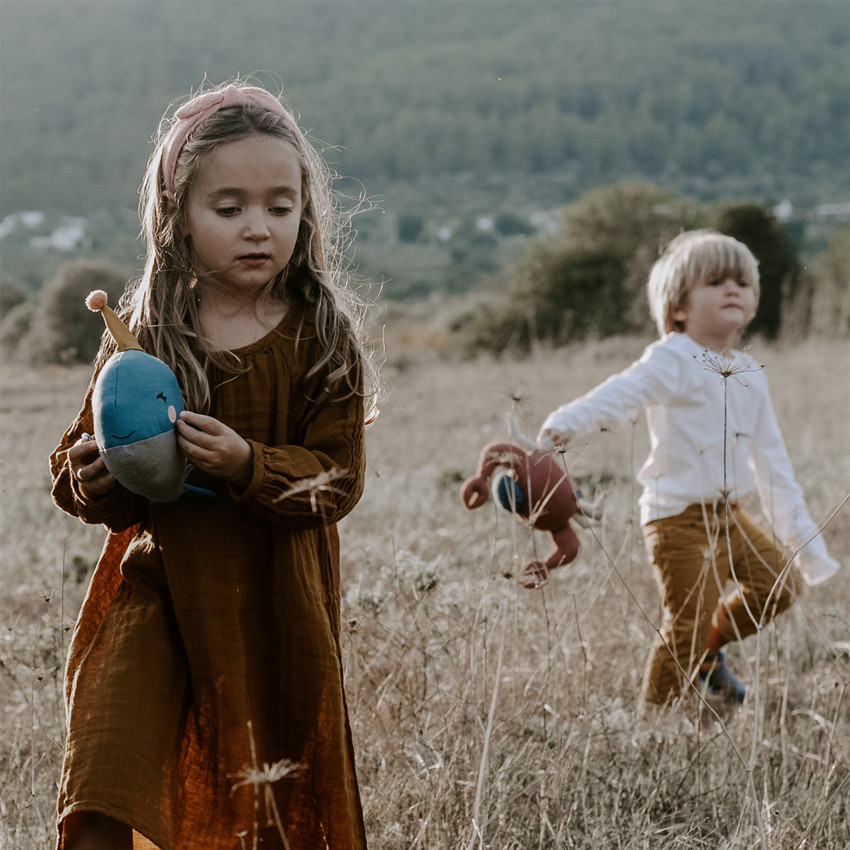 Peluche crabe avec boîte cadeau 