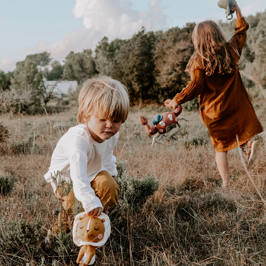 Peluche lion avec boîte cadeau 