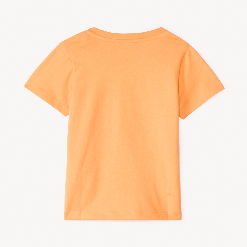 T-shirt manches longues print Lion pour bébé garçon 